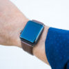 chestnut apple watch band