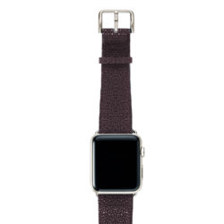 Purple-Rain-on-top-with-stainless-steel-adaptors
