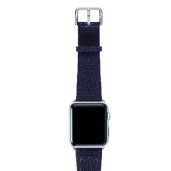 Royal-Blue-ont-top-with-silver-adaptors