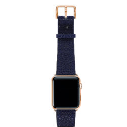 Royal-Blue-ont-top-with-stainless-gold-adaptors