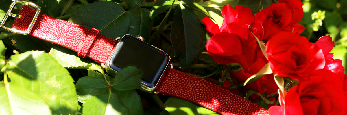 galuchat leather