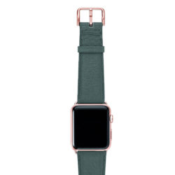 Denim-nappa-band-on-top-with-rose-gold-adaptors