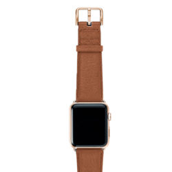 Goldstone-light-brown-band-on-top-with-gold-series3-adaptors