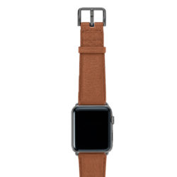 Goldstone-light-brown-band-on-top-with-space-grey-adaptors