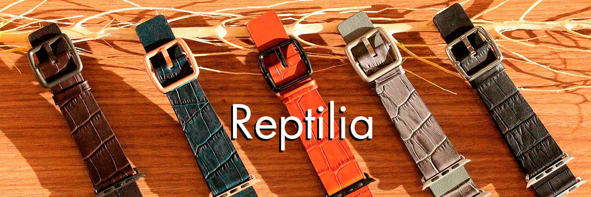 Reptilia Meridioband