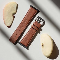 Anurka apple watch vegan band still life